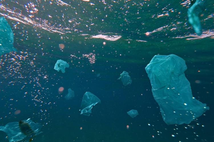 Toxic plastic waste floating in the ocean.