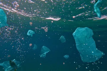 Toxic plastic waste floating in the ocean.