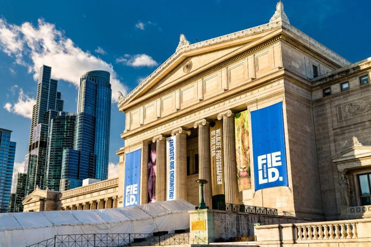 Exterior of The Field Museum of Natural History with exhibition banners and modern skyscrapers in the background.