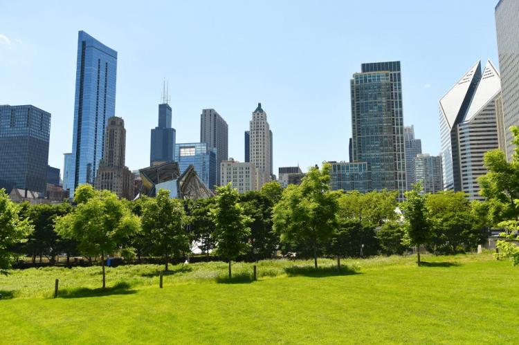 Chicago skyline viewed from Grant Park with green grass and trees in the foreground.