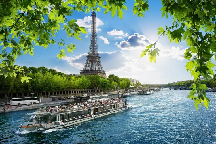 Boat cruise on the Seine River in Paris, with the Eiffel Tower in the background, framed by green leaves and bright sunlight.