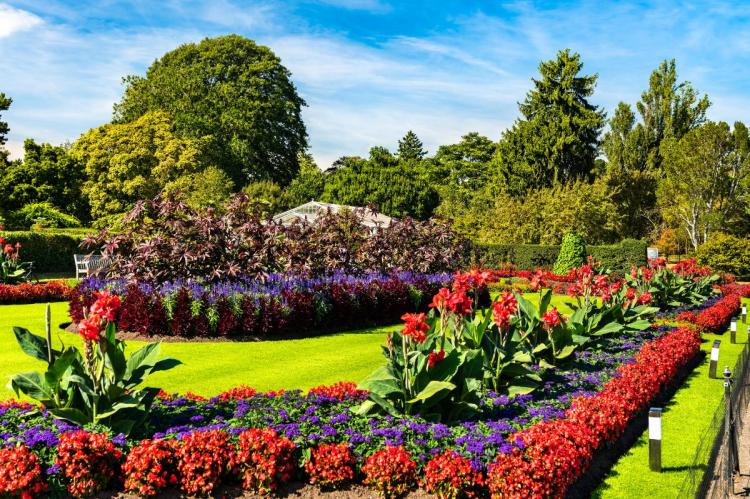 Vibrant flowerbeds in Kew Gardens with red and purple flowers, lush green lawns, and a glasshouse in the background under a bright blue sky.